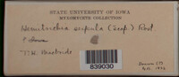 Image Associated With the Occurence
